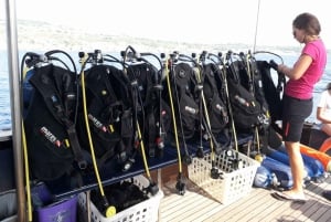 Catania: Gulf Scuba Diving Tour with Marine Biologist