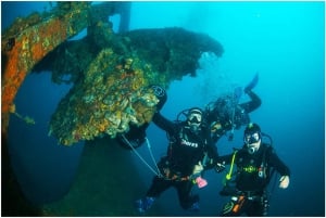 Catania: Gulf Scuba Diving Tour with Marine Biologist