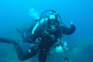 Catania: Gulf Scuba Diving Tour with Marine Biologist
