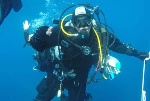 Catania: Gulf Scuba Diving Tour with Marine Biologist