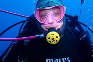 Catania: Gulf Scuba Diving Tour with Marine Biologist