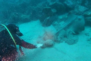 Catania: Gulf Scuba Diving Tour with Marine Biologist