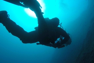Catania: Gulf Scuba Diving Tour with Marine Biologist