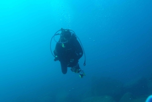 Catania: Gulf Scuba Diving Tour with Marine Biologist