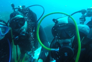 Catania: Gulf Scuba Diving Tour with Marine Biologist