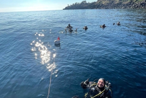 Catania: Gulf Scuba Diving Tour with Marine Biologist