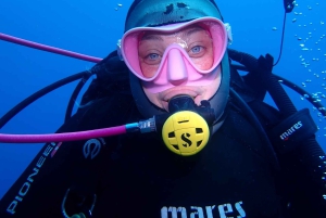 Catania: Gulf Scuba Diving Tour with Marine Biologist