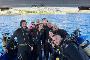 Catania: Gulf Scuba Diving Tour with Marine Biologist
