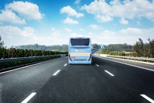 Internationale luchthaven Catania: Bustransfer van/naar Taormina