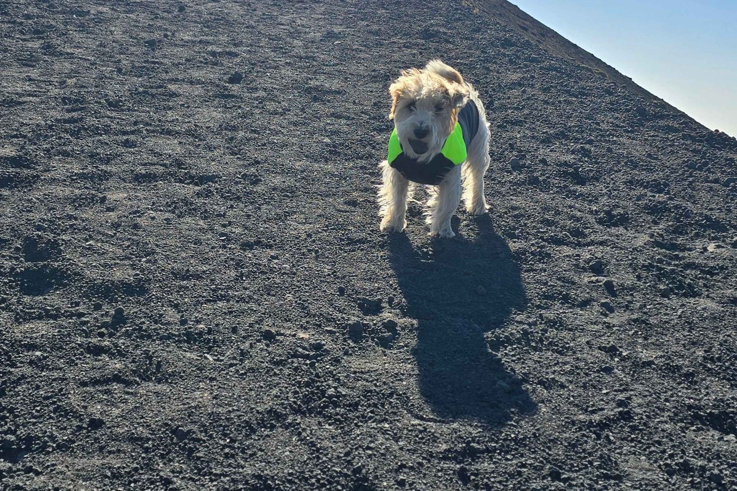 Катания: утренний тур на Этну с посещением Валле-дель-Бове