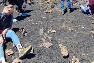 Catania: Aamutour Etnalle ja vierailu Valle del Boveen