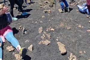 Catania: Aamutour Etnalle ja vierailu Valle del Boveen