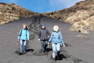 Catania: Aamutour Etnalle ja vierailu Valle del Boveen