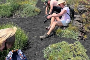 Catania: Aamutour Etnalle ja vierailu Valle del Boveen