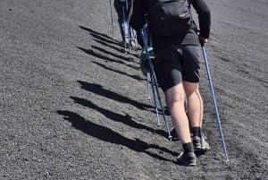 Catania: Aamutour Etnalle ja vierailu Valle del Boveen