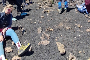 Катания: утренний тур на Этну с посещением Валле-дель-Бове