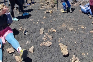 Катания: утренний тур на Этну с посещением Валле-дель-Бове