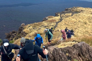 Катания: утренний тур на Этну с посещением Валле-дель-Бове