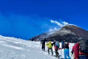 エトナ山：火山の火口ハイキングツアー