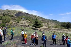 Catania: Mount Etna Morning Jeep Tour