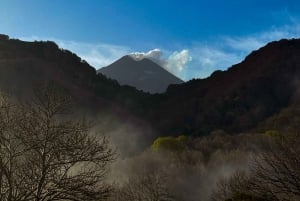 カターニア：エトナ山 午前ジープツアー
