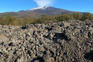 Catania: Mount Etna Morning Jeep Tour