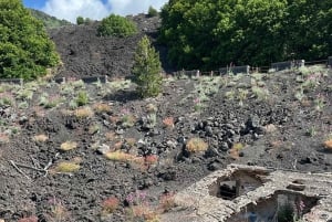 Catania: Mount Etna Morning Jeep Tour