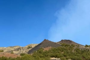 Catania: Mount Etna Morning Jeep Tour