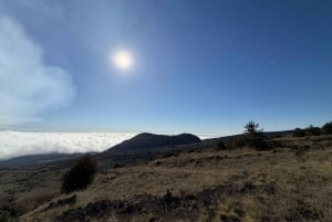 Catania: Mount Etna Morning Jeep Tour