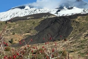 Catania: Mount Etna Morning Jeep Tour