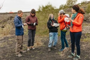 Catania: Ätna-Tagesausflug mit Verkostung am Morgen oder bei Sonnenuntergang
