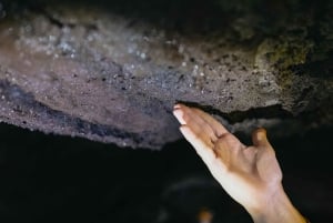 Catania: Ätna-Tagesausflug mit Verkostung am Morgen oder bei Sonnenuntergang