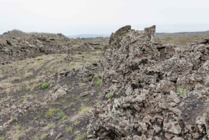 Catania: Ätna-Tagesausflug mit Verkostung am Morgen oder bei Sonnenuntergang