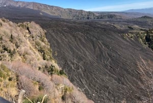 Catania: Ätna-Sonnenuntergangstour und Ätna-Doc-Wein