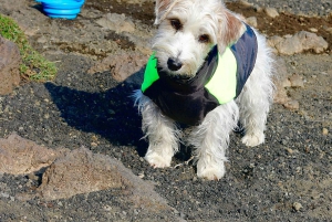 Catania: Trekking al tramonto sull'Etna con degustazione di vino