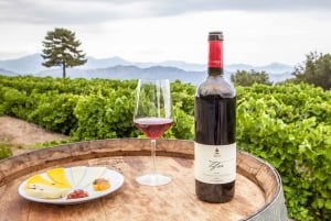 Catânia: excursão privada ao Monte Etna com degustação de comida e vinho