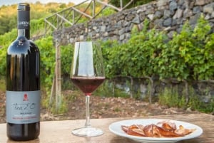 Catane : visite privée de l'Etna avec dégustation de vin