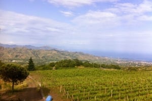 Catania: Etna privat tur med mat- och vinprovning