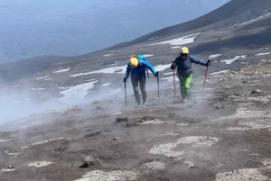 Catania: North Etna to Summit Craters Hiking Tour