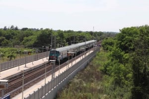 Catania Centrale: Ticket enkele reis van/naar Catania Airport