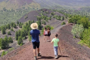 From Catania: Guided Hike on Etna, wines and nibbles