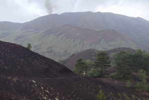 From Catania: Guided Hike on Etna, wines and nibbles