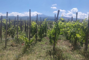 From Catania: Guided Hike on Etna, wines and nibbles