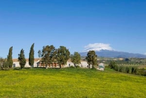 Catânia: Fazenda Pozzo di Gaspare: tour guiado com degustações