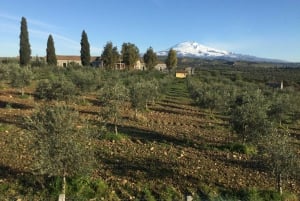 Catânia: Fazenda Pozzo di Gaspare: tour guiado com degustações