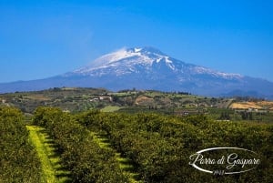Catania: Visita guiada con degustación a la Granja Pozzo di Gaspare