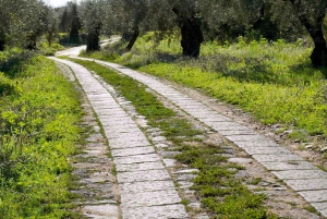 Catania: Visita guiada con degustación a la Granja Pozzo di Gaspare
