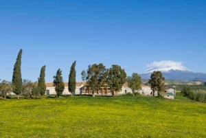 Catania: Visita guiada con degustación a la Granja Pozzo di Gaspare