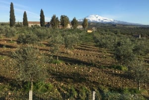 Catania: Visita guiada con degustación a la Granja Pozzo di Gaspare