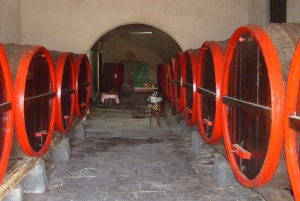 Catânia: Fazenda Pozzo di Gaspare: tour guiado com degustações